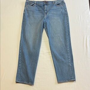 Gloria Vanderbilt Men's Straight Jeans in Light Blue Denim